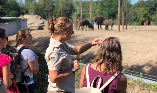 Die Safari-Führerin steht mit drei Frauen vor einem Zaun. Sie beobachten eine Gruppe Elefanten.