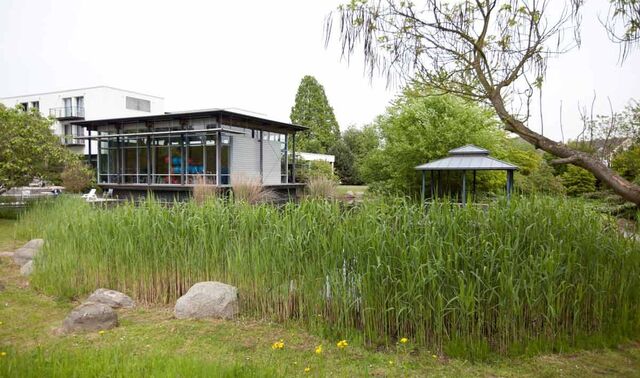 Blick auf das Schilf vor dem Teich im Park der Niederrhein Klinik